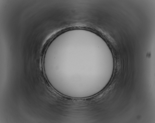 X0000097761262200803070828