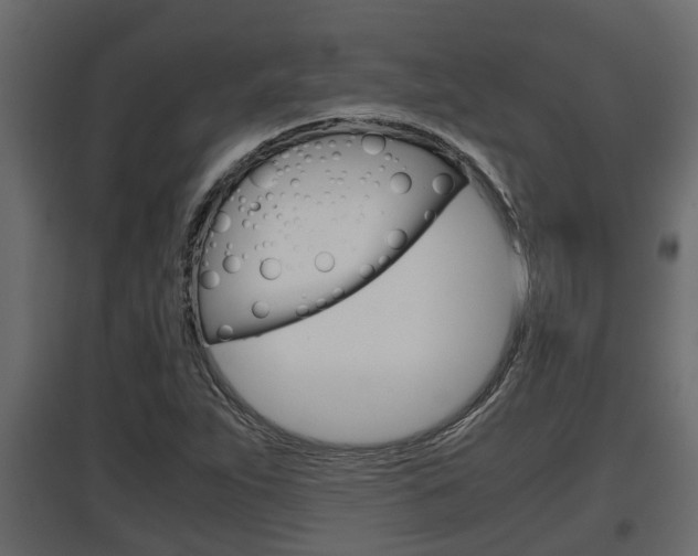 X0000097761263200803070828