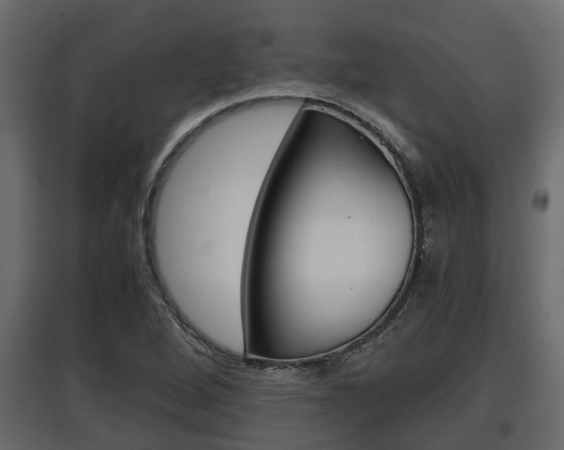 X0000097761264200803070828