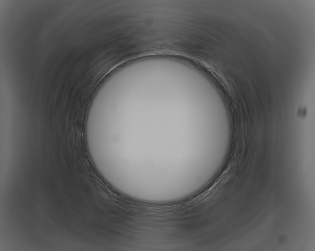 X0000097761265200803070828