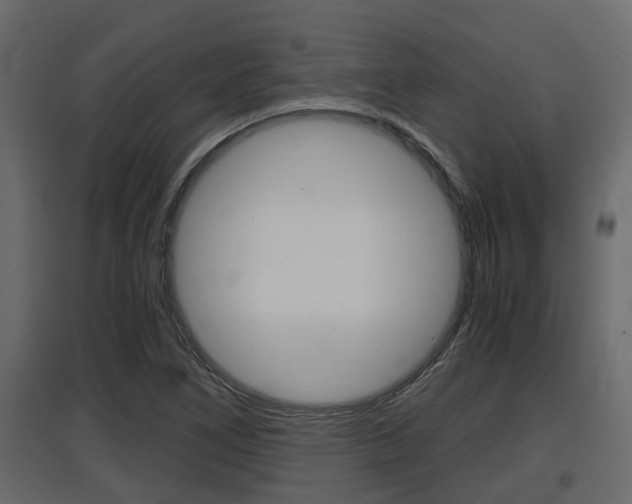 X0000097761266200803070828
