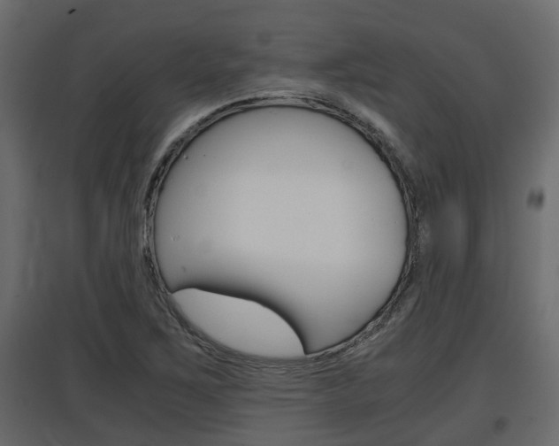 X0000097761267200803070828