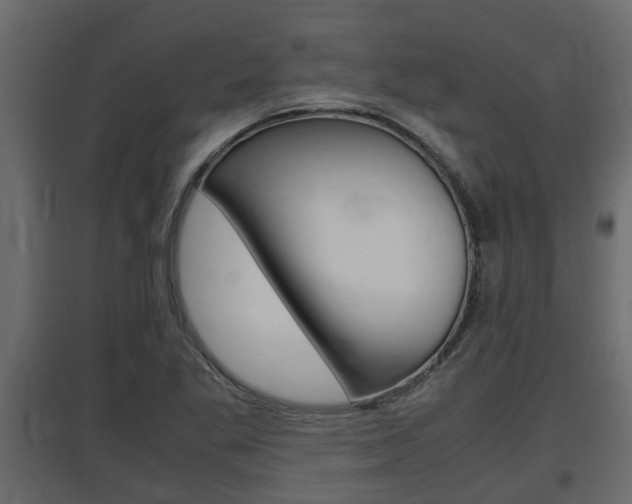 X0000097761269200803070828