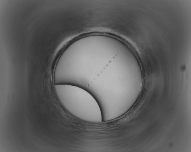 X0000097761271200803070828