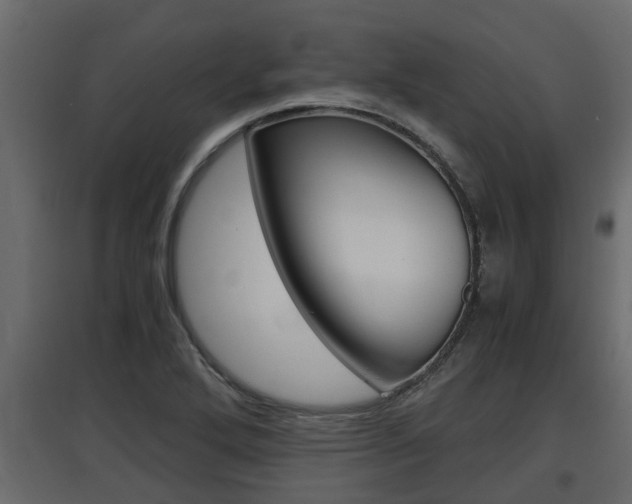 X0000097761272200803070828