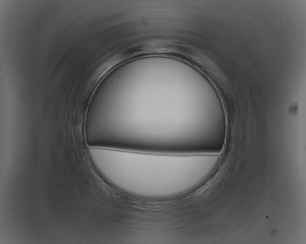 X0000097761273200803070828
