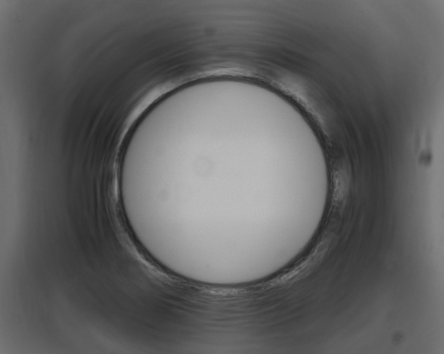 X0000097761274200803070828