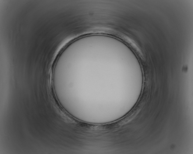 X0000097761275200803070828