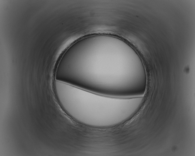X0000097761277200803070828