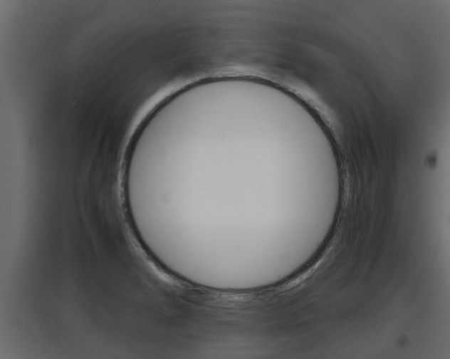 X0000097761278200803070828