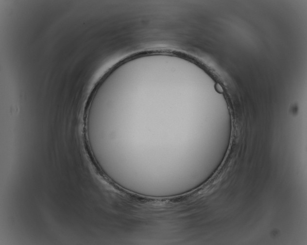 X0000097761279200803070828