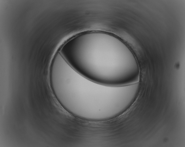 X0000097761280200803070828