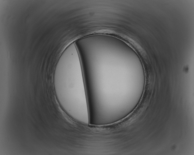 X0000097761281200803070828