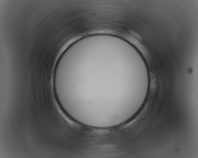 X0000097761282200803070828