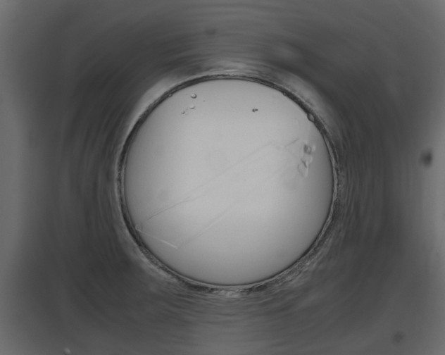 X0000097761283200803070828