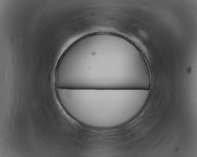 X0000097761287200803070828