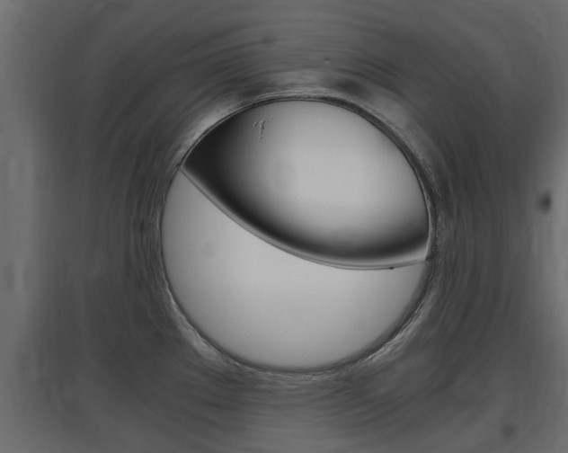 X0000097761289200803070828