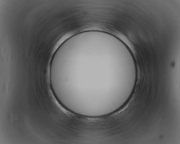 X0000097761290200803070828