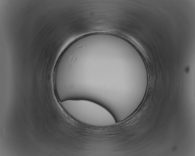 X0000097761291200803070828