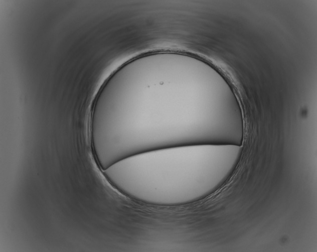 X0000097761295200803070828