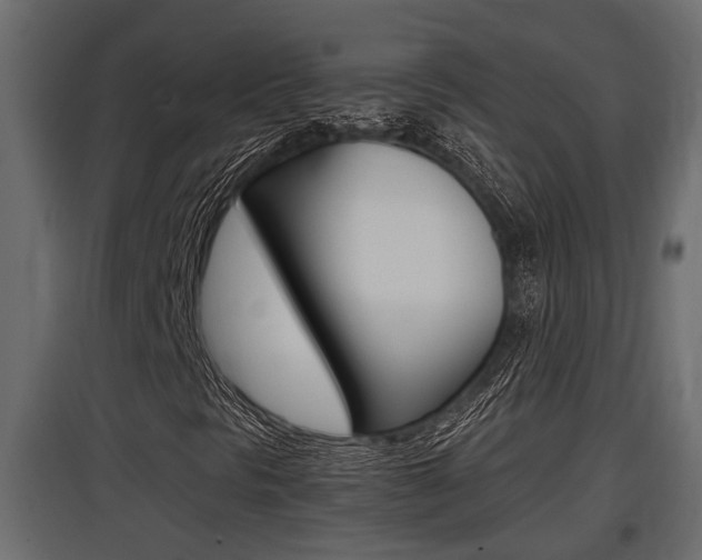 X0000097761297200803070827