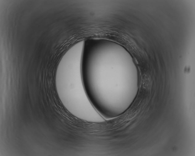 X0000097761298200803070827