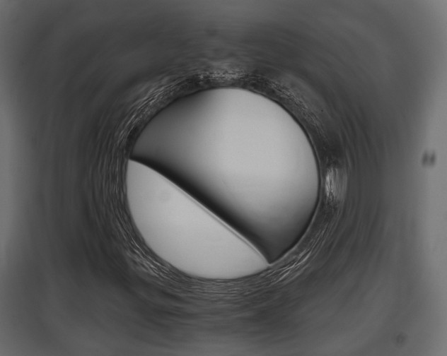 X0000097761299200803070827
