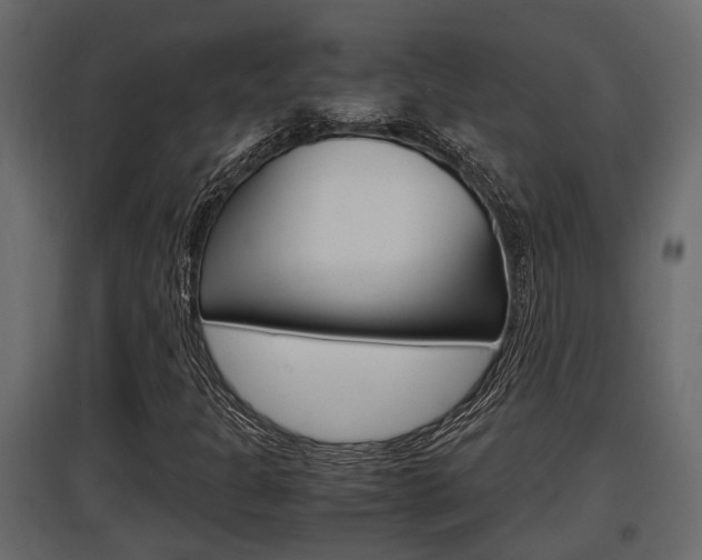 X0000097761301200803070827