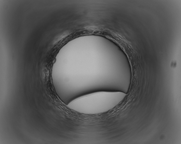 X0000097761302200803070827