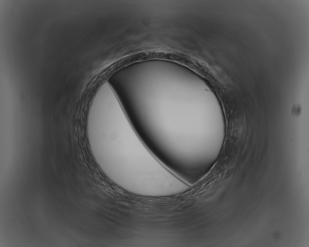 X0000097761303200803070827