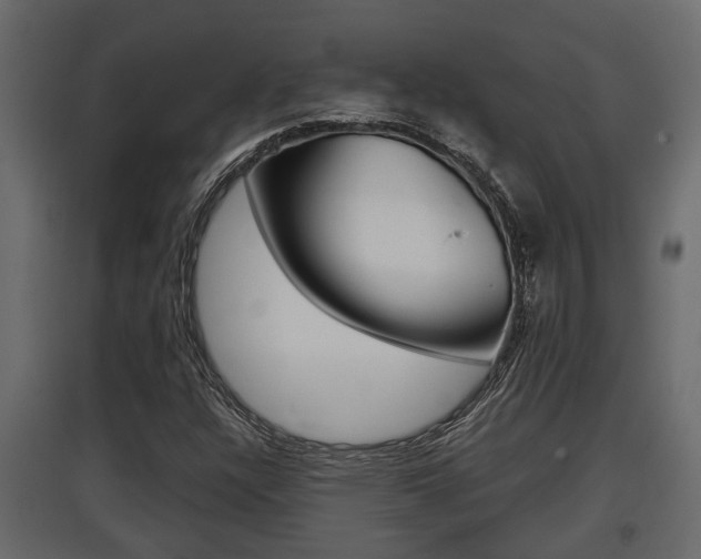 X0000097761304200803070827