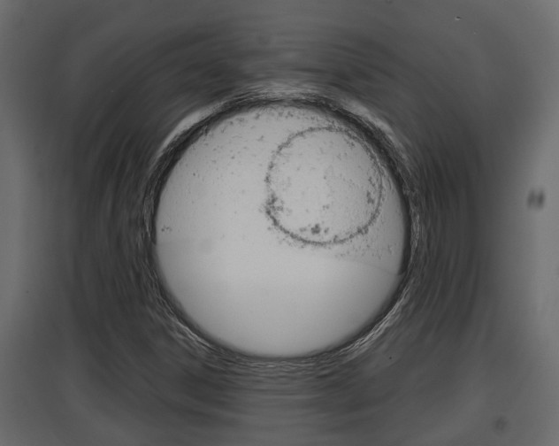 X0000097761306200803070827