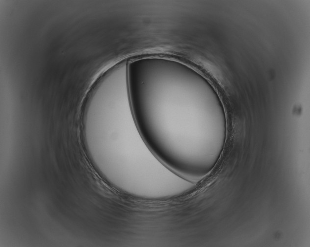 X0000097761308200803070827