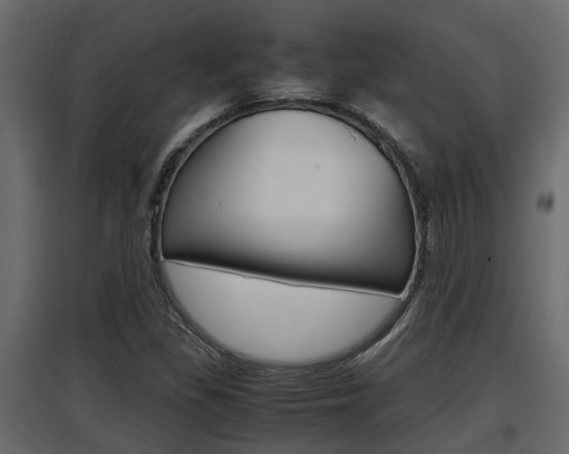 X0000097761309200803070827