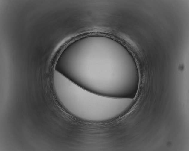 X0000097761310200803070827