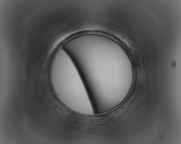X0000097761311200803070827