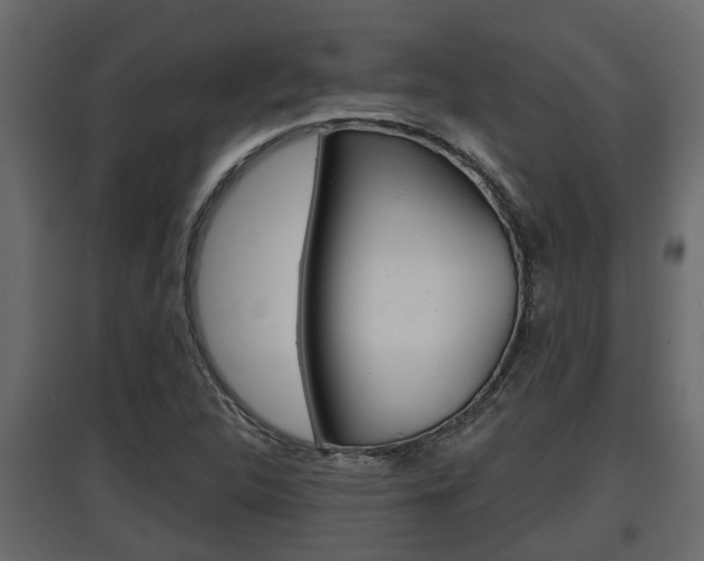 X0000097761312200803070827