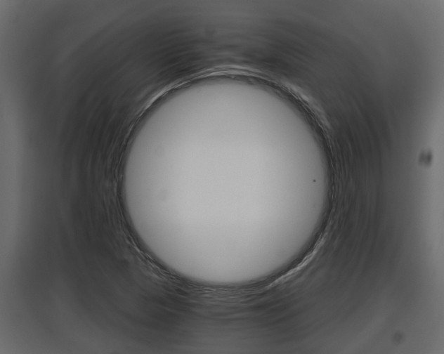 X0000097761313200803070827