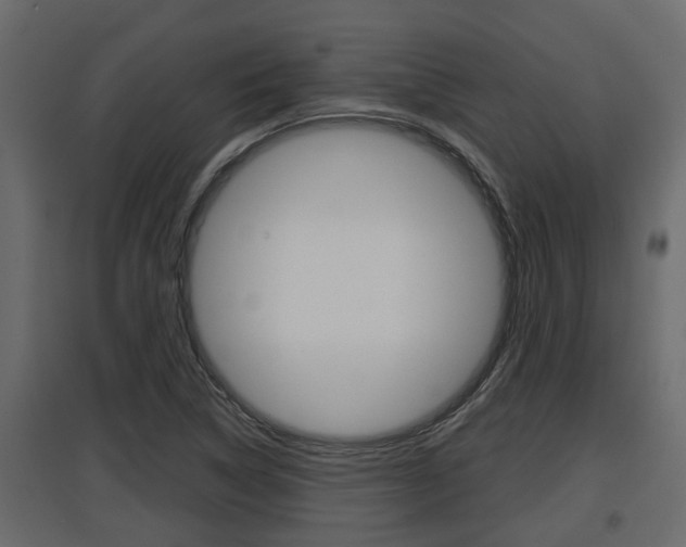 X0000097761314200803070827