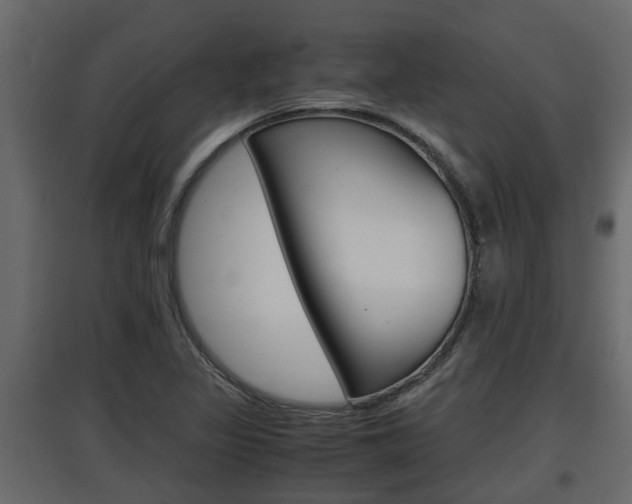 X0000097761317200803070827
