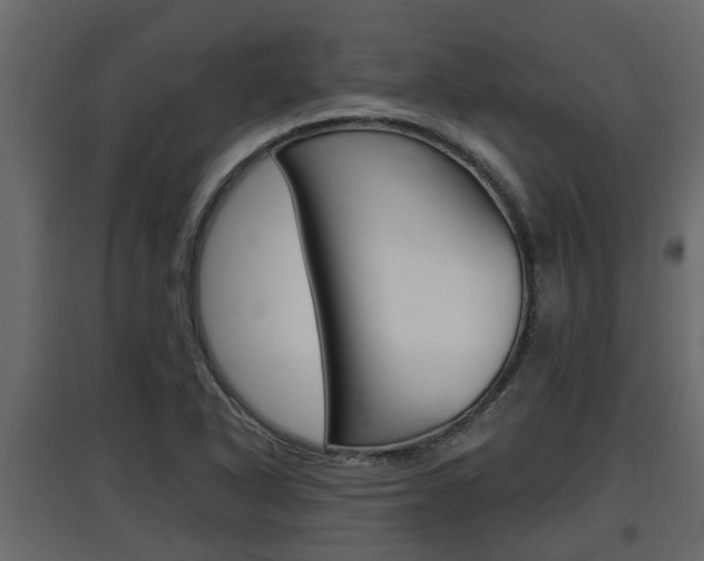 X0000097761318200803070827