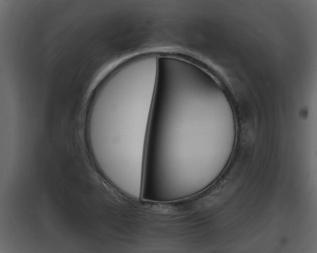 X0000097761319200803070828