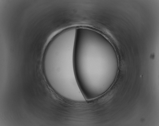 X0000097761320200803070828