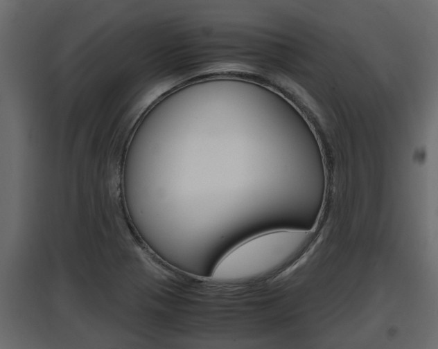 X0000097761321200803070828