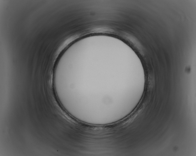 X0000097761322200803070828