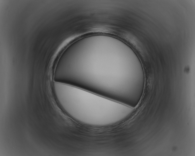 X0000097761323200803070828