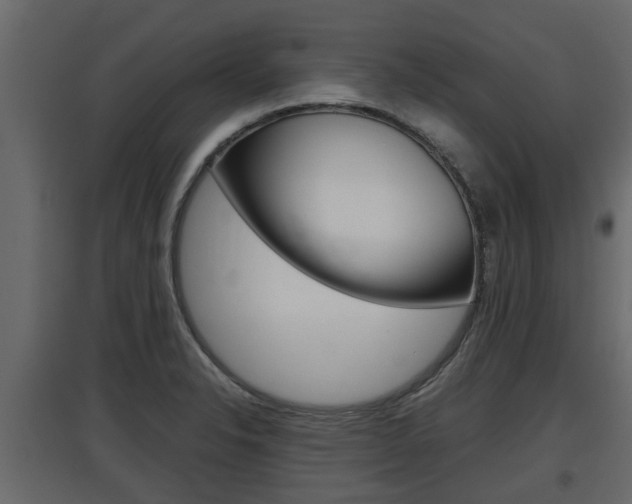 X0000097761326200803070828