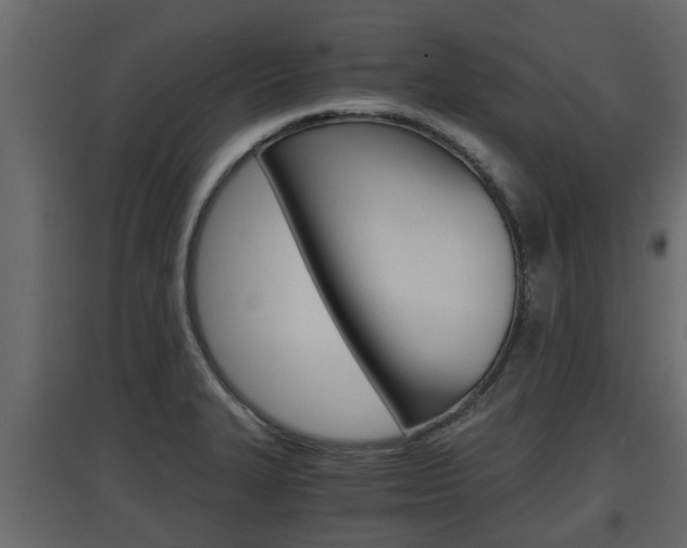 X0000097761327200803070828