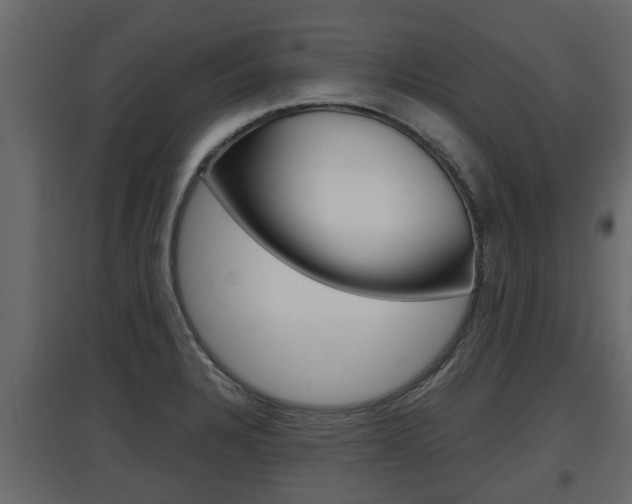 X0000097761328200803070828