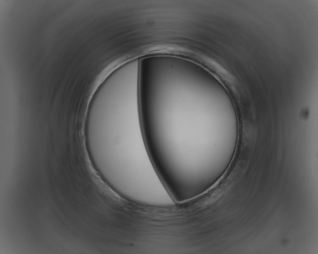 X0000097761330200803070828